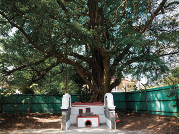 After completion - Earth God Shrine of Kam Tsin Tsuen