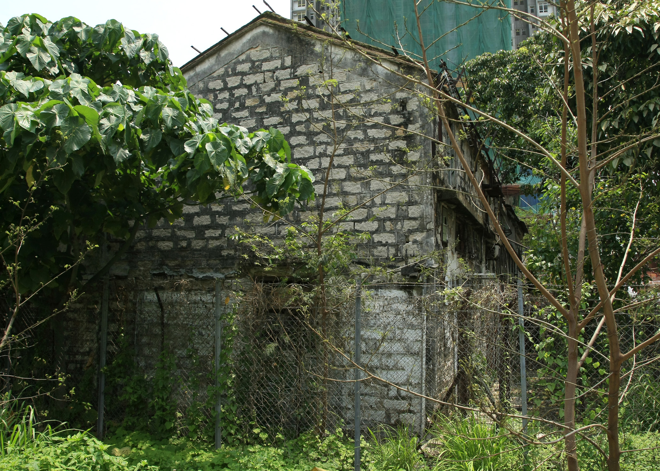 广东罗定一座镬耳屋，建造独特，留下众多文化魂宝-搜狐大视野-搜狐新闻