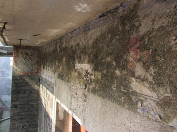 Before repair - Shrine of Tin Sum Tsuen