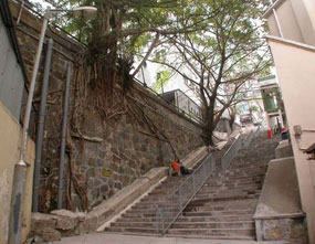 Photo 2: the existing retaining walls together with the unique trees along Hollywood Road and Shing Wong Street