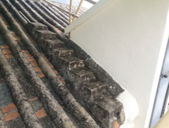 維修前 - 大嶼山大澳大澳街市街11號 3