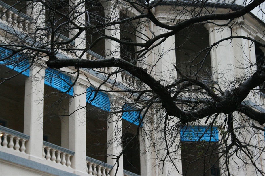 30 Merit Awards<br>Kenji Tang<br>Building: Central Police Station Compound<br>Grading: Declared Monument<br>Artist's statement: Branching into Heritage－This picture shows that the nature's aged but bold and strong tree can blend in well with the Heritage which is also aged, strong and still attractive.