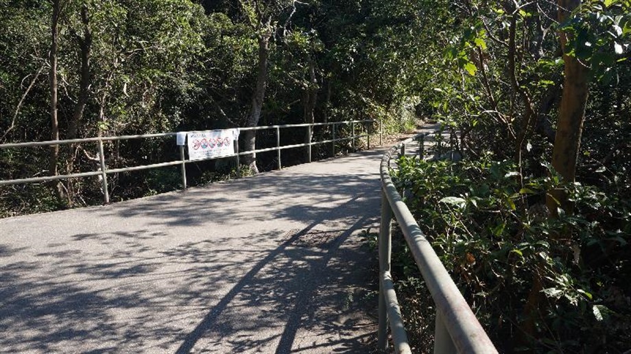 The Government today (May 22) announced that the Antiquities Authority (i.e. the Secretary for Development) has declared the masonry bridge of Pok Fu Lam Reservoir, the Tung Wah Coffin Home, and Tin Hau Temple and the adjoining buildings as monuments under the Antiquities and Monuments Ordinance. Photo shows the road surface on the masonry bridge, which links with other waterworks facilities of Pok Fu Lam Reservior.